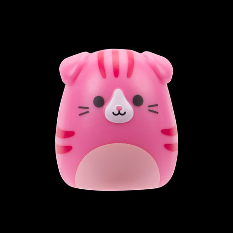 Squishmallows Squish-a-Longs Blinds Assortment