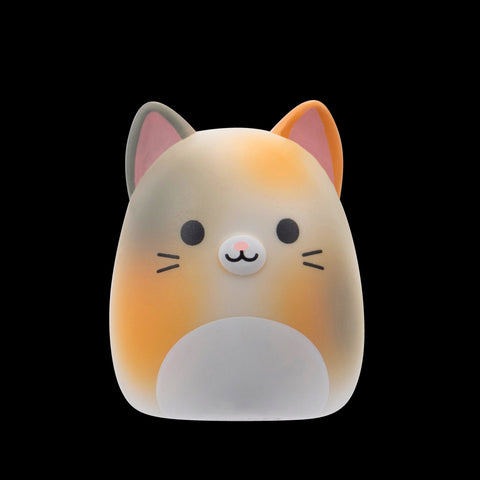 Squishmallows Squish-a-Longs Blinds Assortment