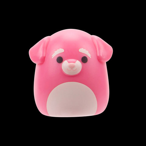 Squishmallows Squish-a-Longs Blinds Assortment