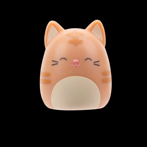 Squishmallows Squish-a-Longs Blinds Assortment