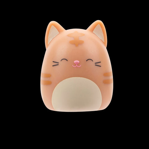 Squishmallows Squish-a-Longs Blinds Assortment