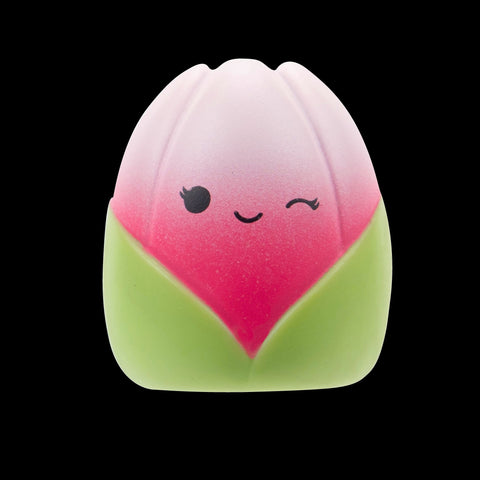 Squishmallows Squish-a-Longs Blind Box