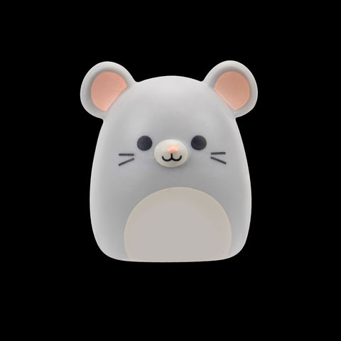 Squishmallows Squish-a-Longs Blind Box