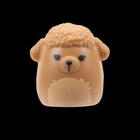 Squishmallows Squish-a-Longs Blinds Assortment