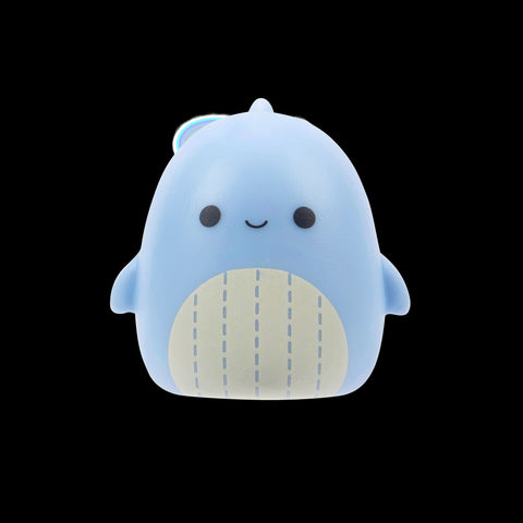 Squishmallows Squish-a-Longs Blinds Assortment