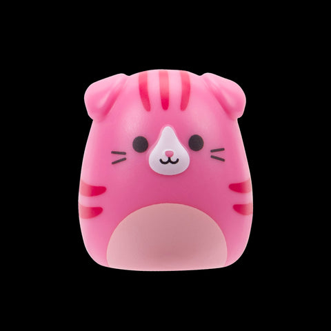Squishmallows Squish-a-Longs Blind Box