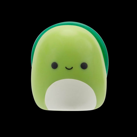 Squishmallows Squish-a-Longs Blinds Assortment