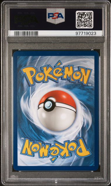 PSA 10 FA/MALLOW & LANA 231