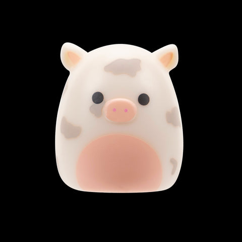 Squishmallows Squish-a-Longs Blind Box