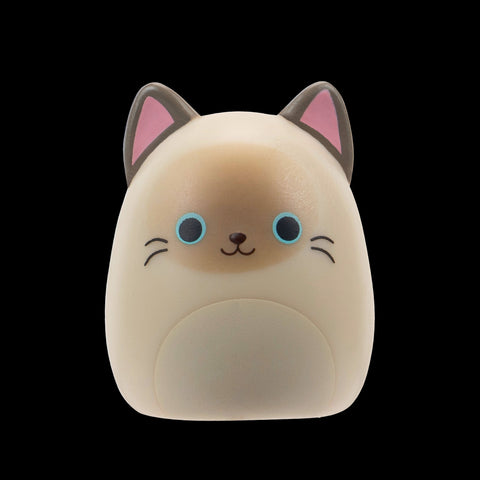 Squishmallows Squish-a-Longs Blinds Assortment