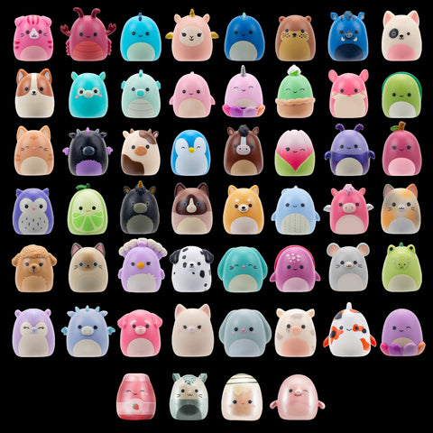 Squishmallows Squish-a-Longs Blinds Assortment