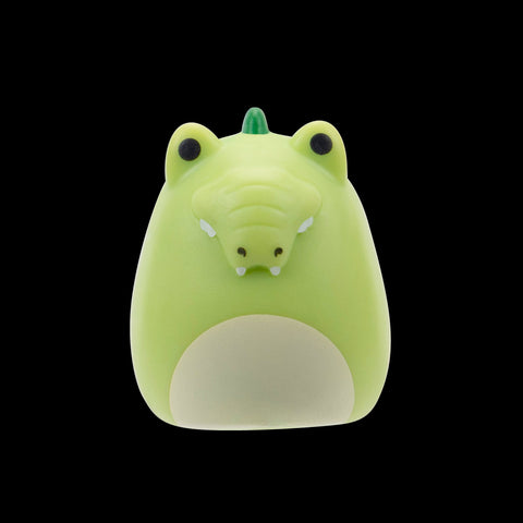 Squishmallows Squish-a-Longs Blind Box