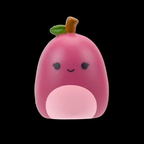 Squishmallows Squish-a-Longs Blinds Assortment