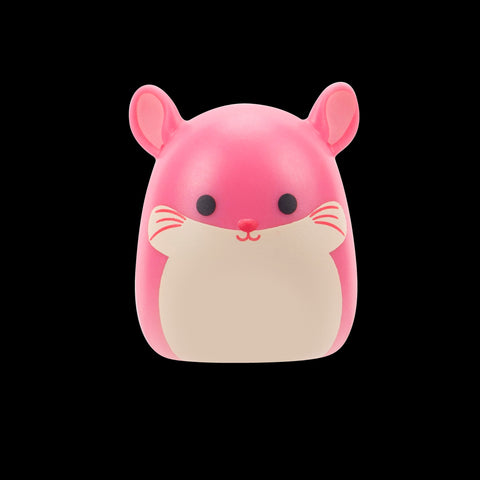 Squishmallows Squish-a-Longs Blinds Assortment