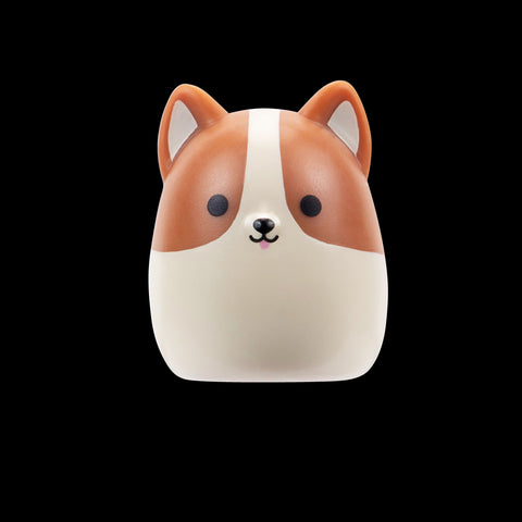 Squishmallows Squish-a-Longs Blind Box