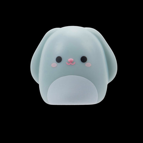 Squishmallows Squish-a-Longs Blind Box