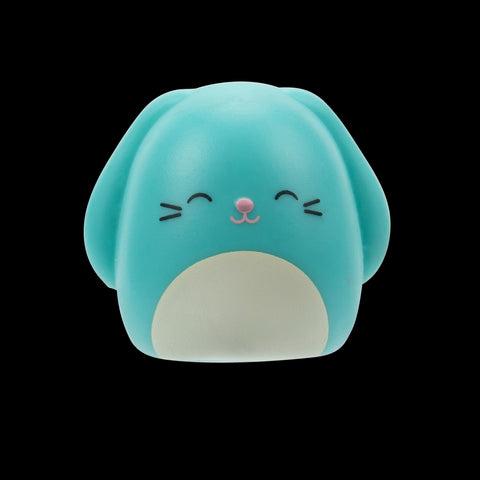 Squishmallows Squish-a-Longs Blinds Assortment