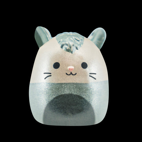 Squishmallows Squish-a-Longs Blinds Assortment