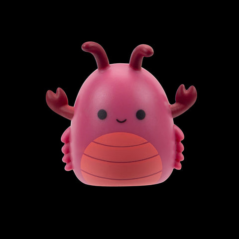 Squishmallows Squish-a-Longs Blind Box