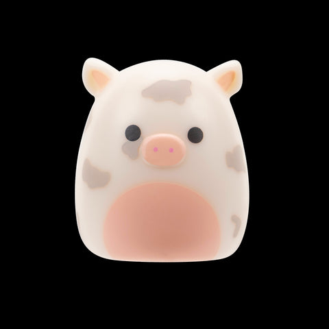 Squishmallows Squish-a-Longs Blinds Assortment