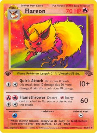 Flareon (19) 019/64  - 1st Edition Jungle - Rare