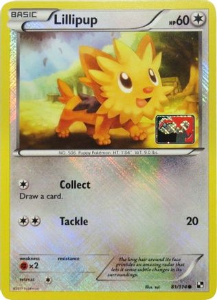 Lillipup 081/114  - Reverse Holofoil League & Championship Cards - Promo