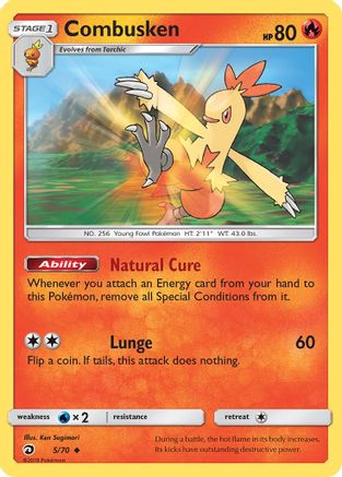 Combusken 005/70  - Reverse Holofoil Dragon Majesty - Uncommon