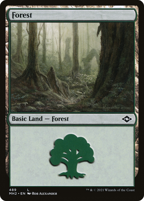 Forest (489) (MH2-489) - Modern Horizons 2 Etched Foil