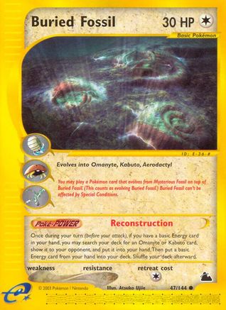Buried Fossil 047  - Reverse Holofoil Skyridge - Common