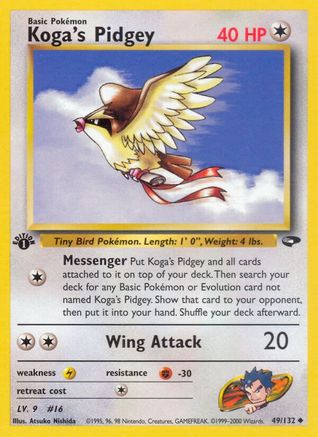 Koga's Pidgey (49) 049/132  - Unlimited Gym Challenge - Uncommon