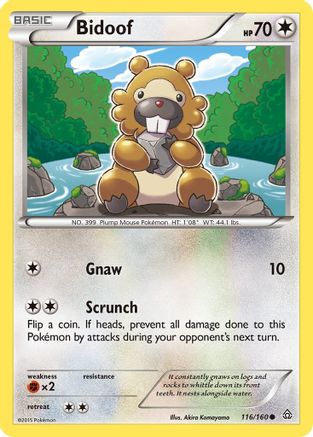 Bidoof 116/160  XY  Primal Clash - Common