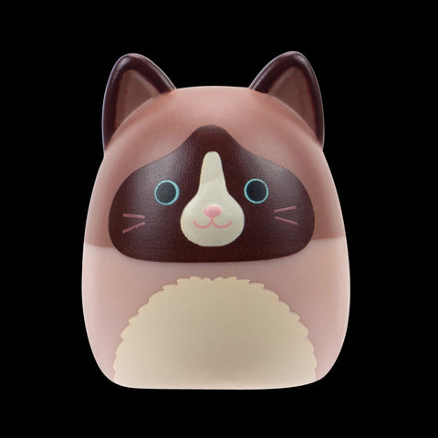 Squishmallows Squish-a-Longs Blinds Assortment